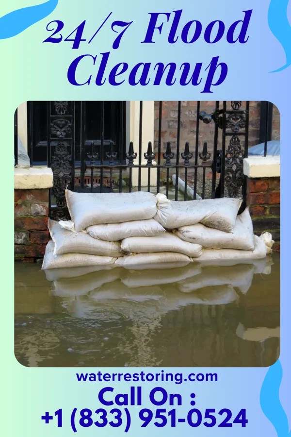 24/7 Flood Cleanup in Bradshaw, WV