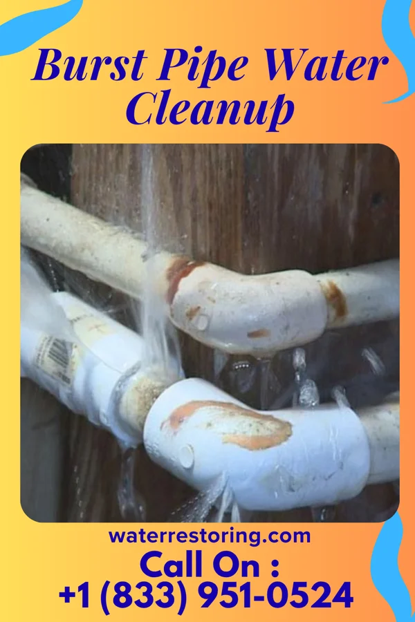 Burst Pipe Water Cleanup in Bradshaw, WV