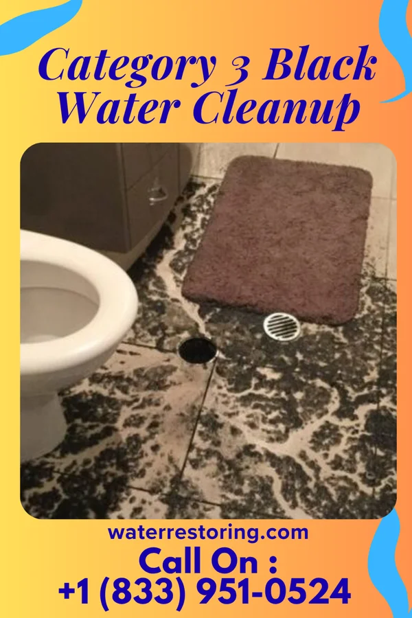 Category 3 Black Water Cleanup in Bradshaw, WV