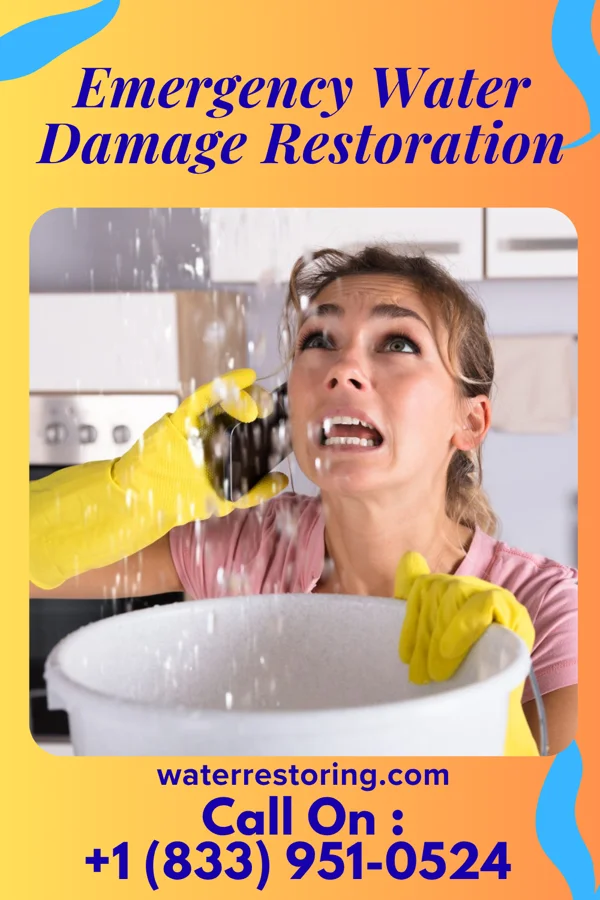 Emergency Water Damage Restoration in Bradshaw, WV