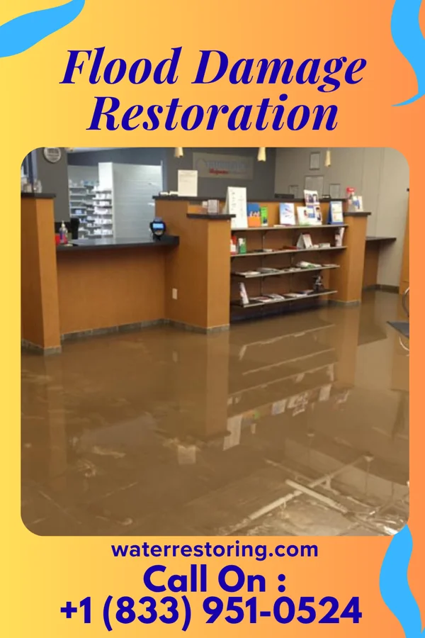Flood Damage Restoration in Bradshaw, WV