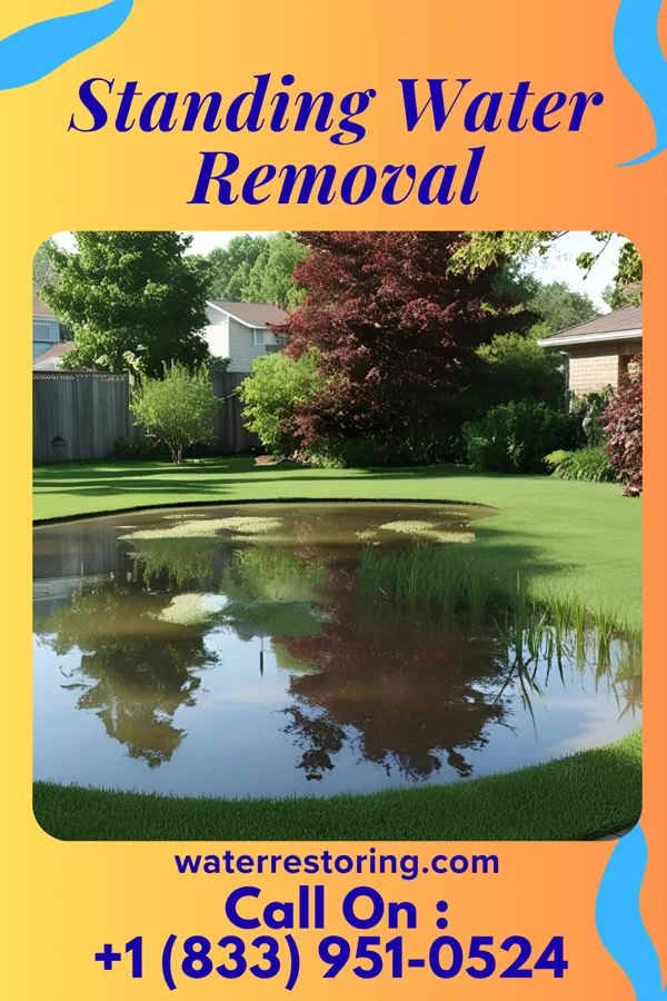 Standing Water Removal in Bradshaw, WV
